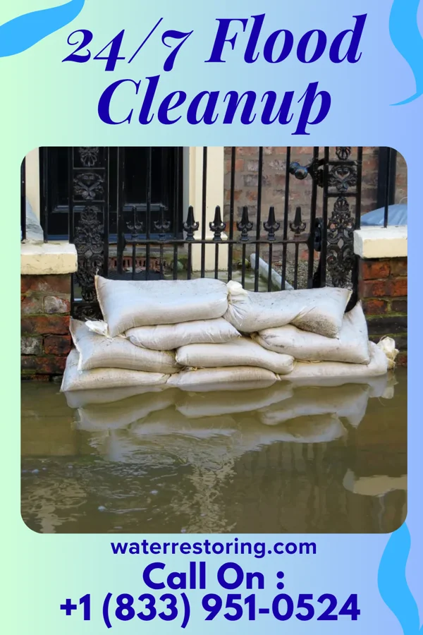 24/7 Flood Cleanup in Dupont City, WV