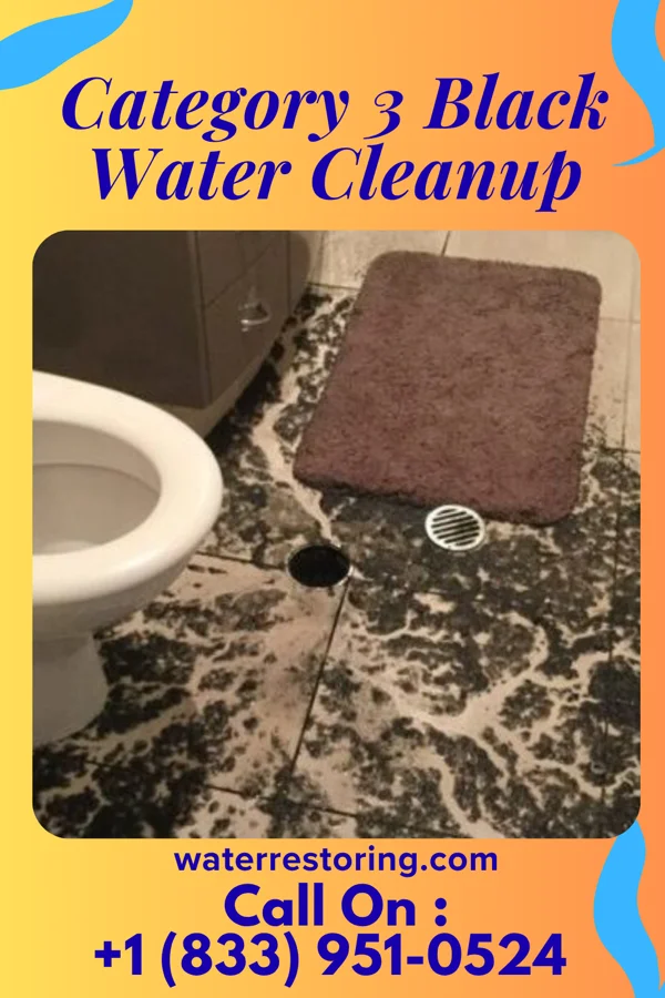 Category 3 Black Water Cleanup in Dupont City, WV