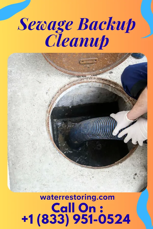 Sewage Backup Cleanup in Dupont City, WV