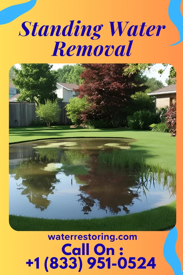 Standing Water Removal in Dupont City, WV